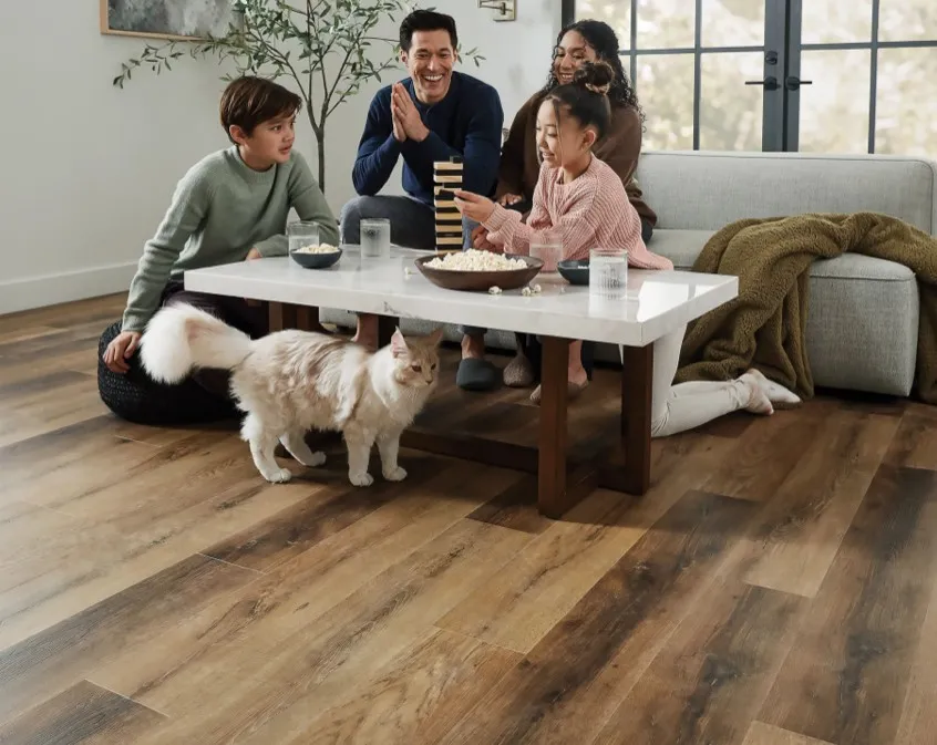 Family Room flooring | Shans Carpets And Fine Flooring Inc