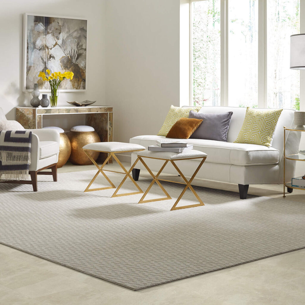 Area Rug | Shans Carpets And Fine Flooring Inc