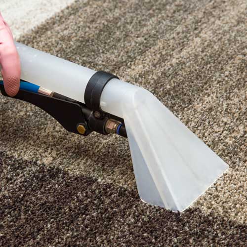 Floor Cleaning | Shans Carpets And Fine Flooring Inc
