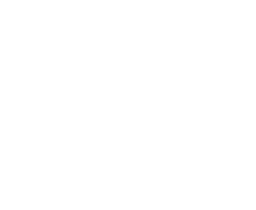 Retail flooring icon | Shans Carpets And Fine Flooring Inc