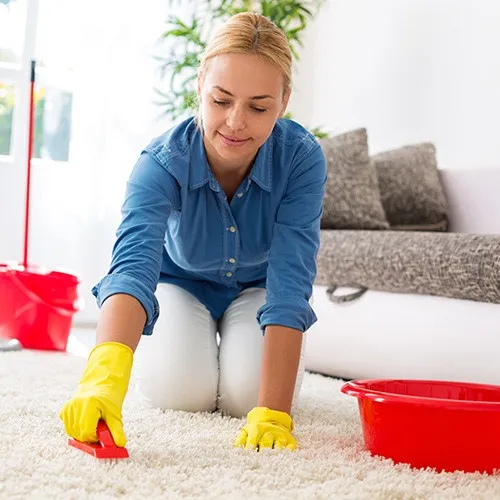 Carpet care | Shans Carpets And Fine Flooring