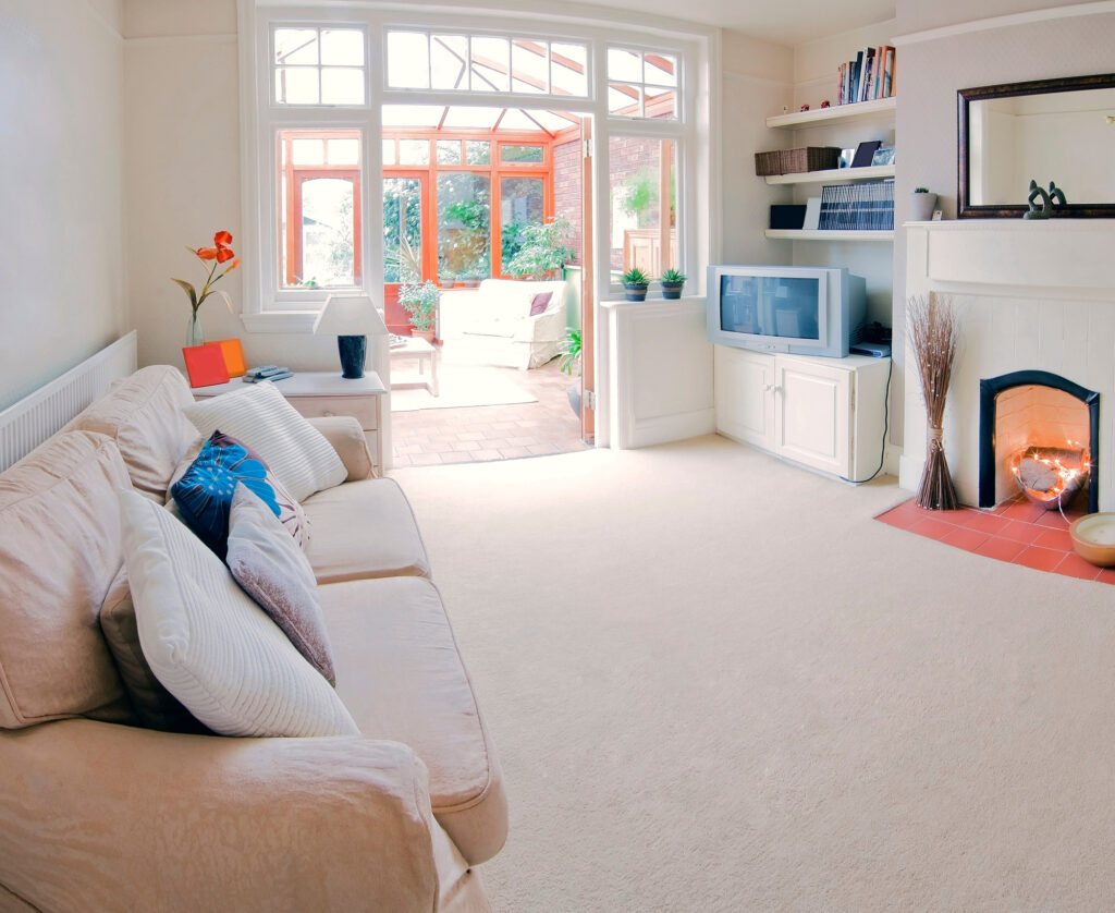 Area Rug