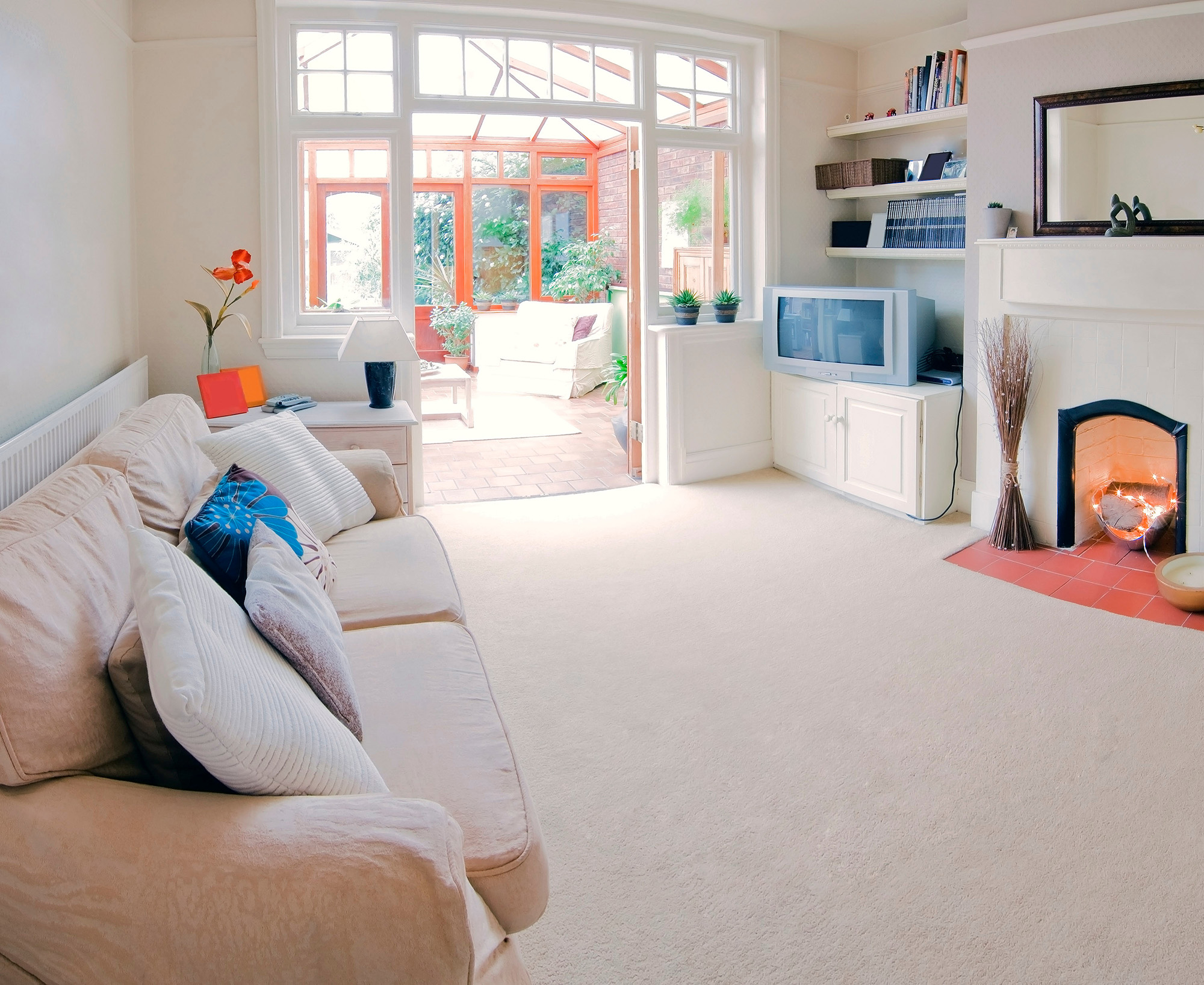 Area Rug
