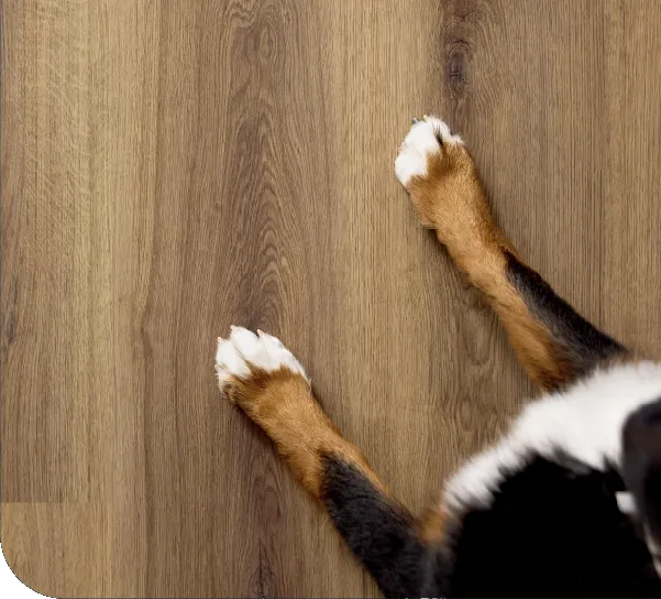 Fine-Flooring-Pet-Perfect-Promotion- img-1