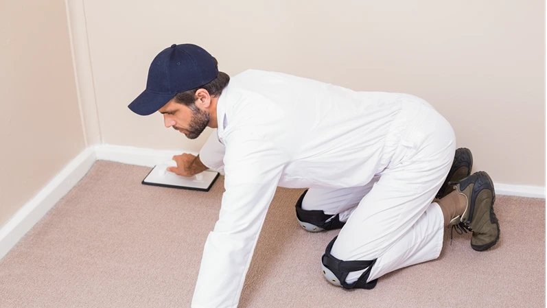 Handyman laying down a carpet in a new house