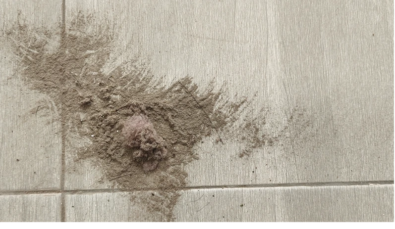 Dust bunny and household dust on a ceramic tile floor.
