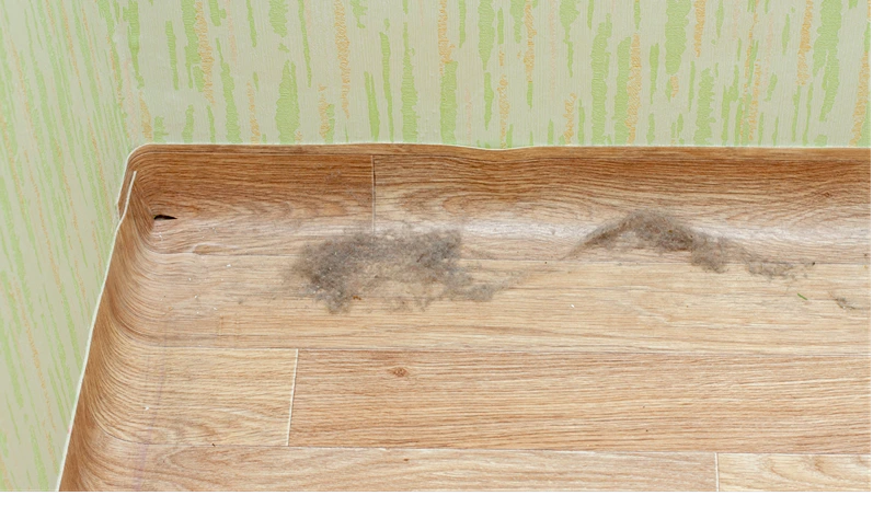 Dust on the floor in the corner of the room. Home cleaning