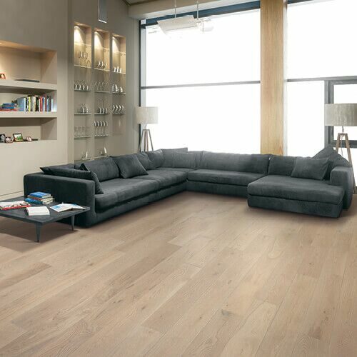 Vinyl flooring of modern living room | Shans Carpets And Fine Flooring Inc